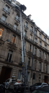 Location monte-charge silencieux 24m Paris