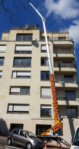 Grue Araignée 36m Lyon